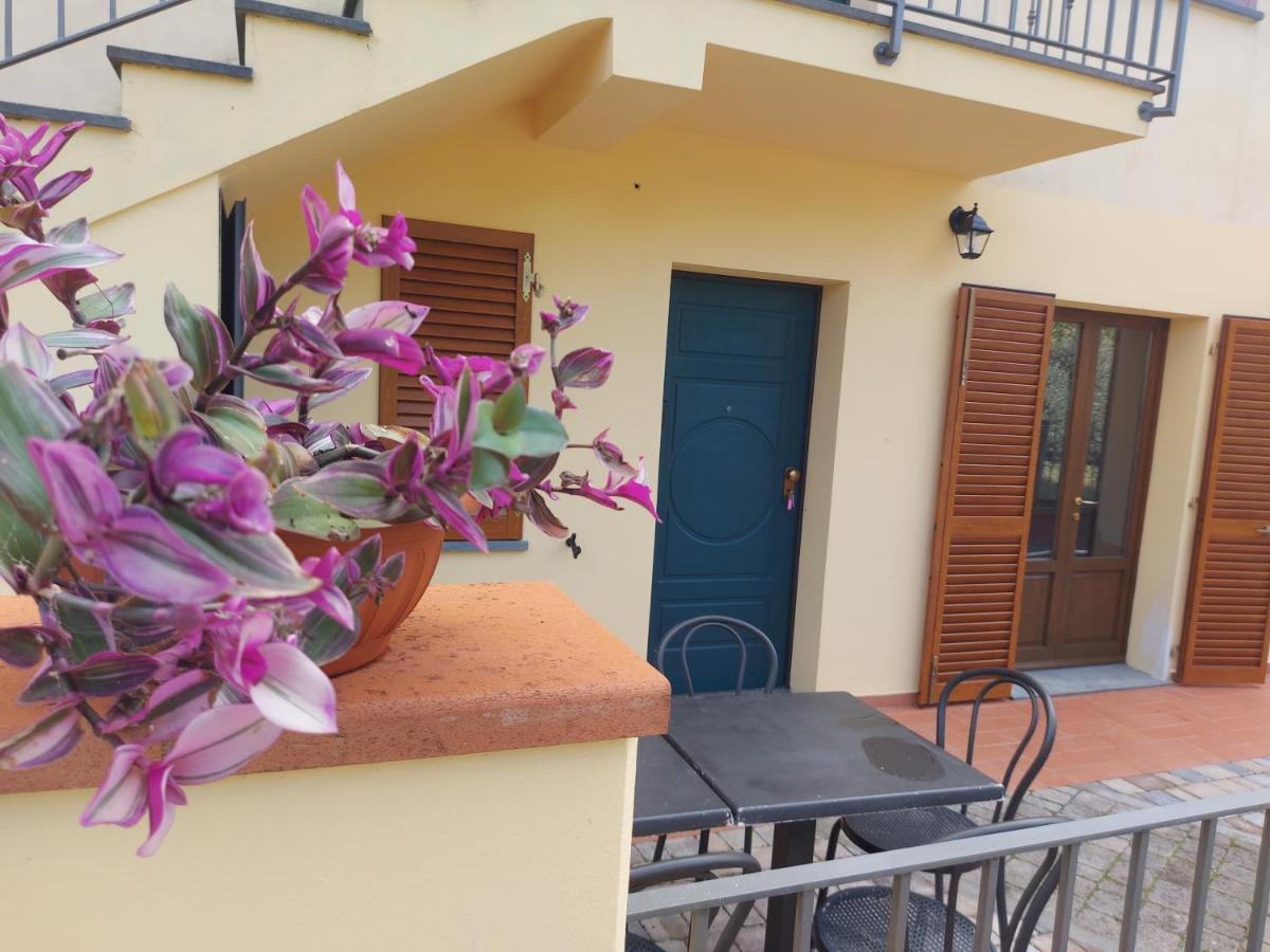 San Rocco Appartamenti - Appartamento La Vite Asciano Pisano Екстериор снимка